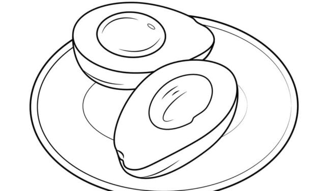 Coloring pages: Avocado