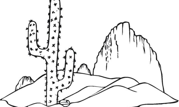 Coloring pages: Cactus