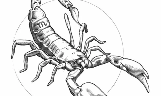 Coloring pages for adults: Zodiac signs