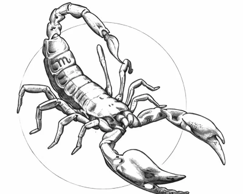 Kolorowanki dla dorosłych: Znaki zodiaku