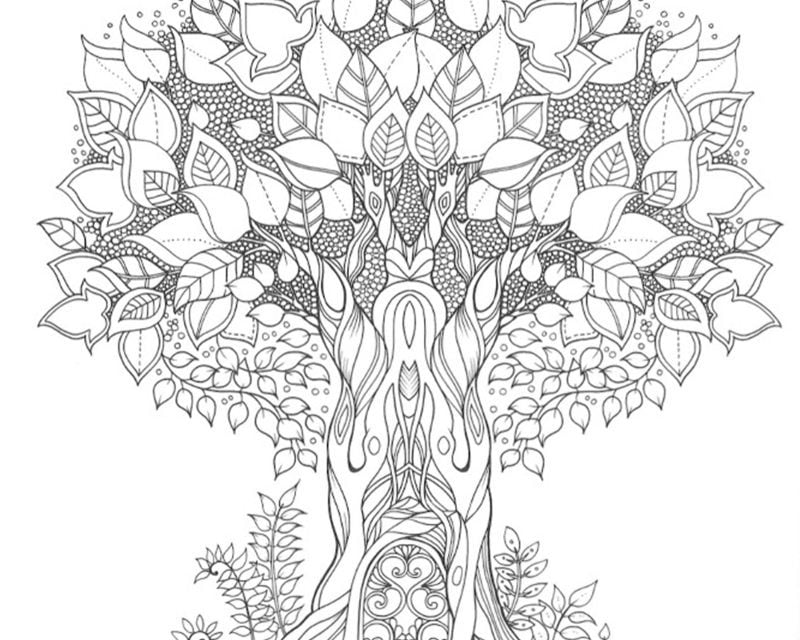 Coloring pages for adults: The Secret Garden