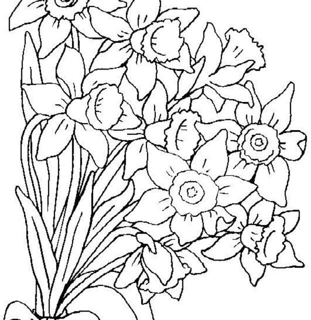 Coloriages: Bouquet de fleurs