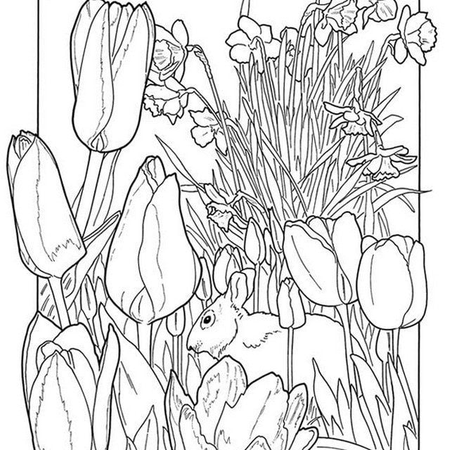 Coloring pages for adults: Spring