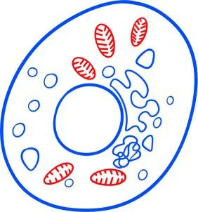 Tutorial de dibujo: Bacteria 6