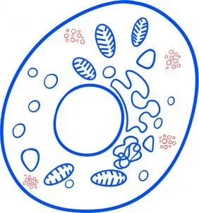 Tutorial de dibujo: Bacteria 7