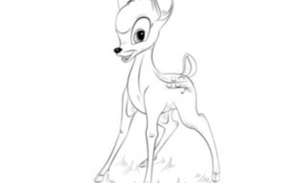 How to draw: Bambi