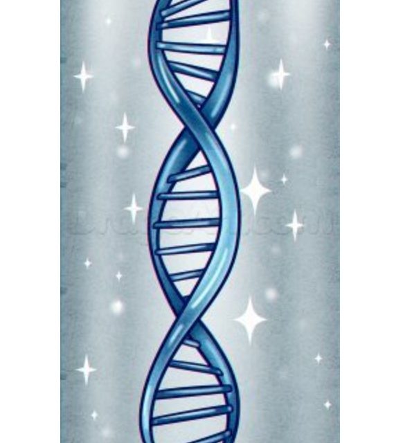 Tutorial de dibujo: ADN