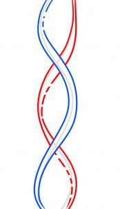 Tutorial de dibujo: ADN