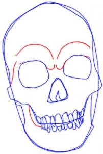 Tutorial de dibujo: Cráneo 6