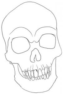 Tutorial de dibujo: Cráneo 8