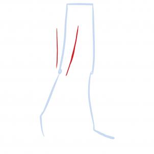 How to draw: Legs
