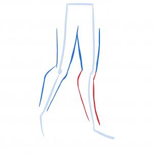 How to draw: Legs