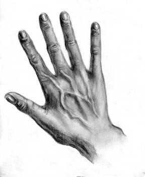 How to draw: Hand 11