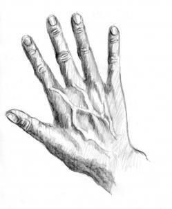 How to draw: Hand 8
