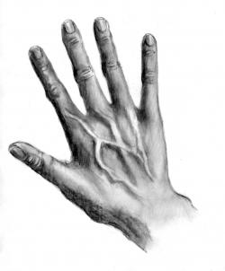 Zeichnen Tutorial: Hand