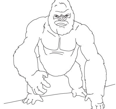 How to draw: King Kong