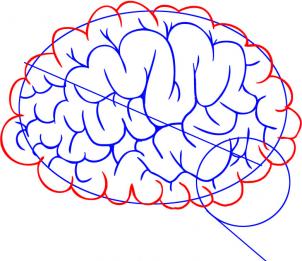Tutorial de dibujo: Cerebro