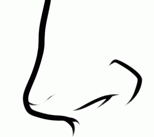 How to draw: Nose