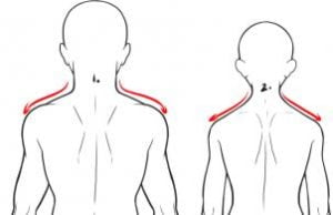 Zeichnen Tutorial: Rücken zeichnen schritt für schritt tutorial für Kinder