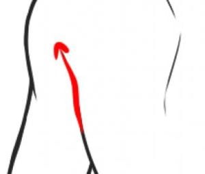 Zeichnen Tutorial: Rücken zeichnen schritt für schritt tutorial für Kinder