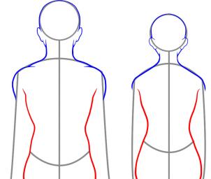 How to draw: Back