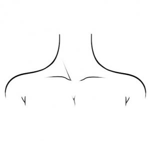 How to draw: Neck