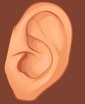 How to draw: Ear