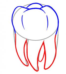 How to draw: Tooth