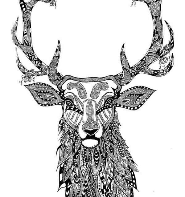 Coloring pages for adults: Deer