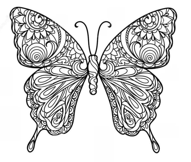 Coloring pages for adults: Butterfly, printable, free to download, JPG, PDF