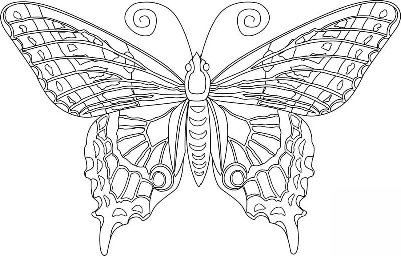 Dibujos para colorear para adultos: Mariposas