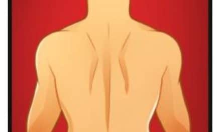 How to draw: Back