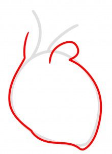 Jak narysować: Serce