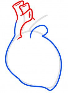 How to draw: Heart