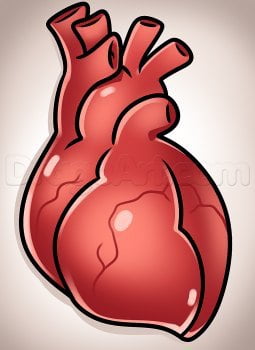 Tutorial de dibujo: Corazón