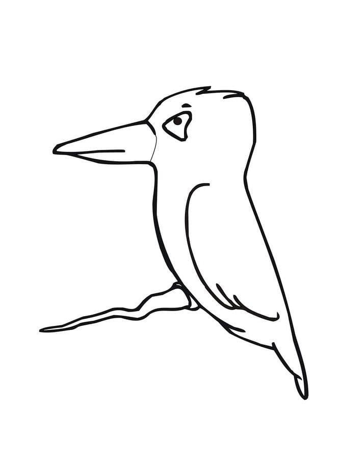 Coloring pages: Kingfisher 9