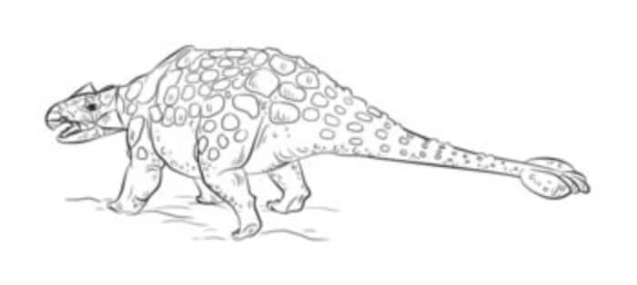Comment Dessiner: Ankylosaures