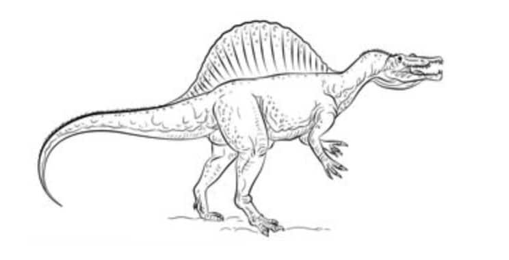 How to draw: Spinosaurus