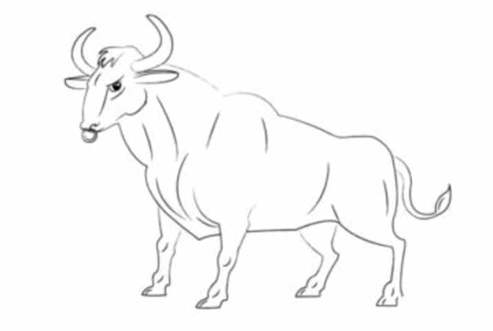 How to draw: Bull