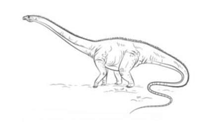 Tutorial de dibujo: Diplodocus