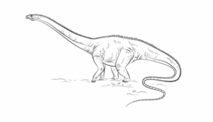 Tutorial de dibujo: Diplodocus