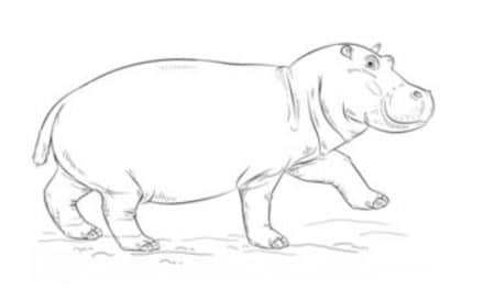 Comment Dessiner: Hippopotames