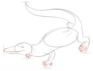 Zeichnen Tutorial: Alligator 6