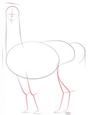 How to draw: Alpaca