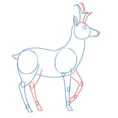 Zeichnen Tutorial: Antilope