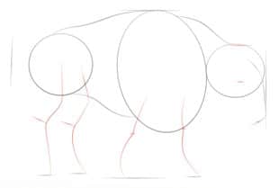 Come disegnare: Bufalo