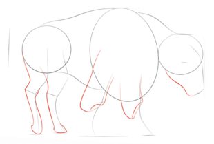 How to draw: Buffalo