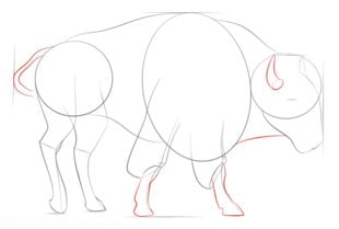 How to draw: Buffalo