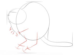 How to draw: Beaver 4