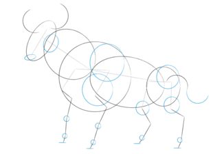 How to draw: Bull 6